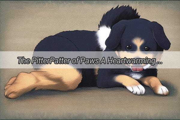 The PitterPatter of Paws A Heartwarming Tale of Old Threes Doggy Spa Day